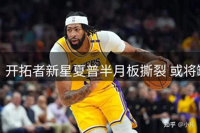 开拓者新星夏普半月板撕裂 或将缺席新赛季大部分比赛